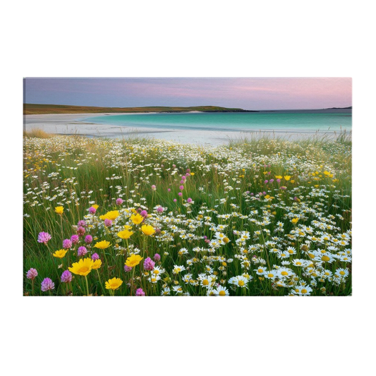 A Hebridean machair in full flower, white daisies, yellow marigolds and pink clover above white shell sand and turquoise water, printed on stretched canvas