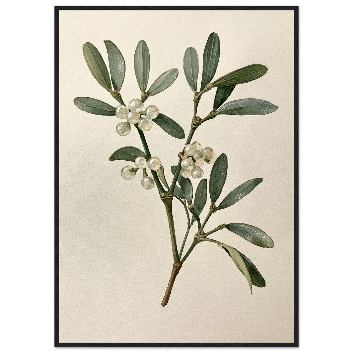 Mistletoe sprig with white berries on a pale ground, print in a black frame