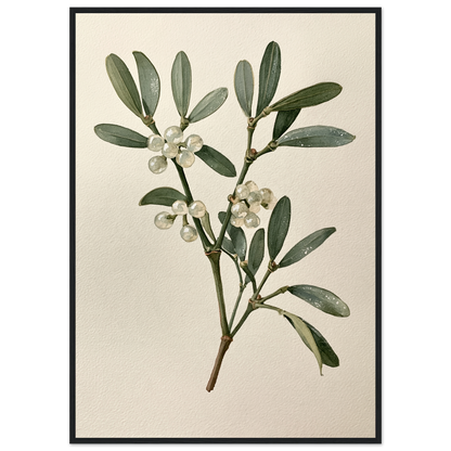 Mistletoe sprig with white berries on a pale ground, print in a black frame