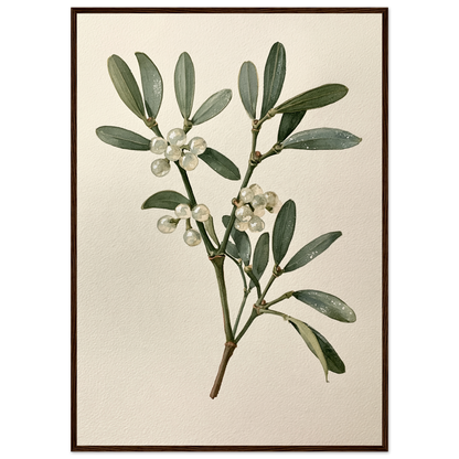 Mistletoe sprig with white berries on a pale ground, print in a dark wood frame
