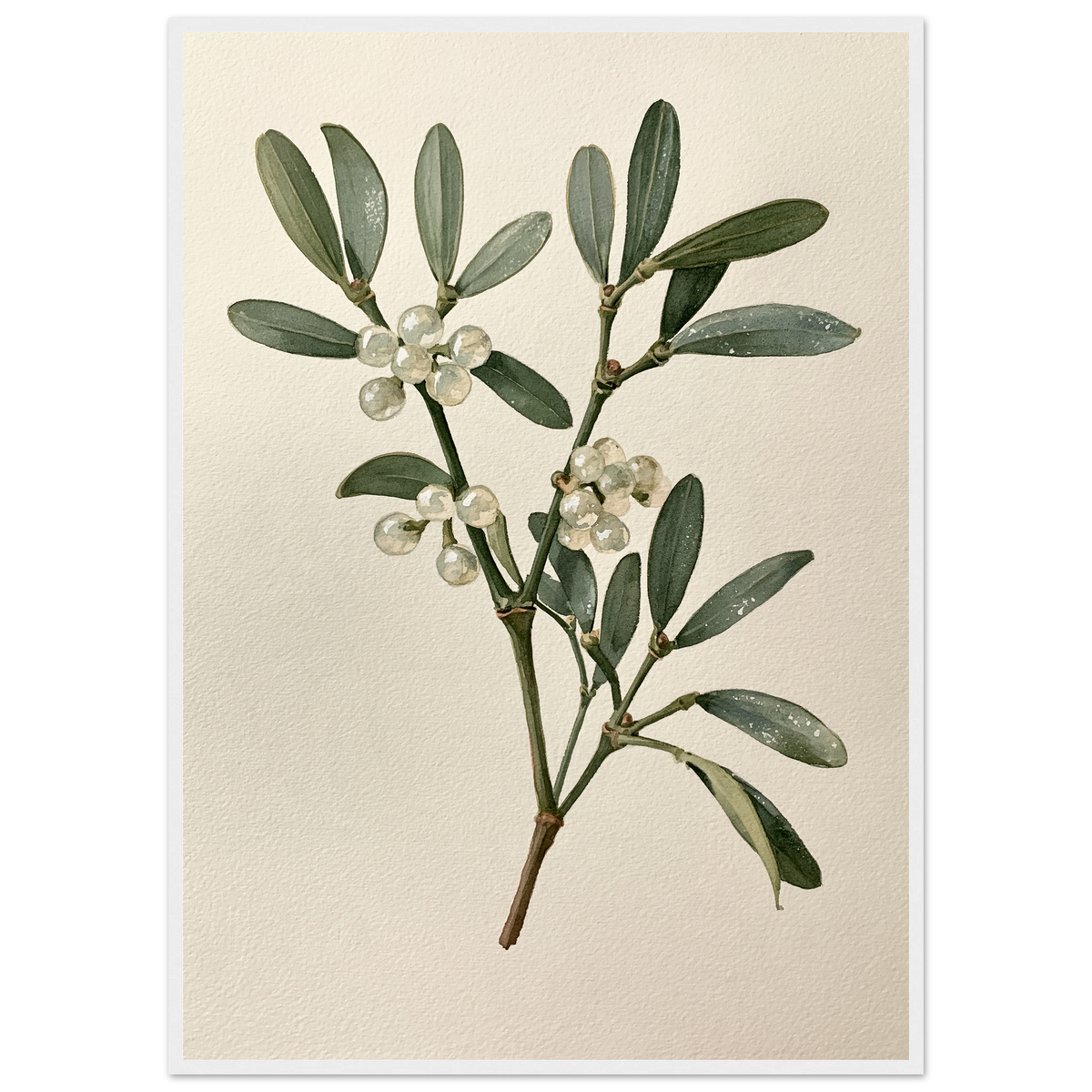 Mistletoe sprig with white berries on a pale ground, print in a white frame