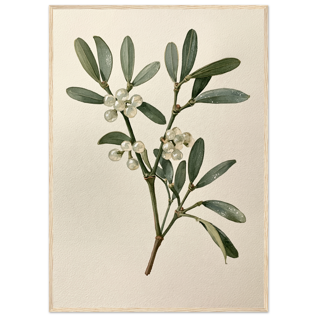 Mistletoe sprig with white berries on a pale ground, print in a natural wood frame