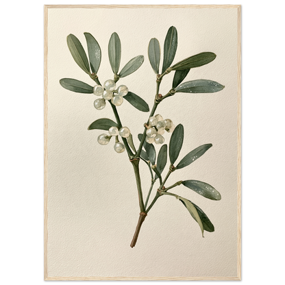 Mistletoe sprig with white berries on a pale ground, print in a natural wood frame