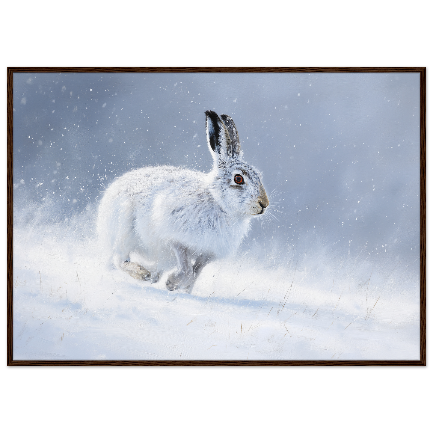 Mountain hare in falling snow winter print in a dark brown wood frame