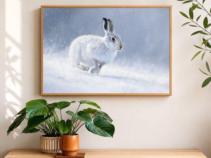 Mountain hare in falling snow, framed in light wood above an oak sideboard with houseplants in soft daylight