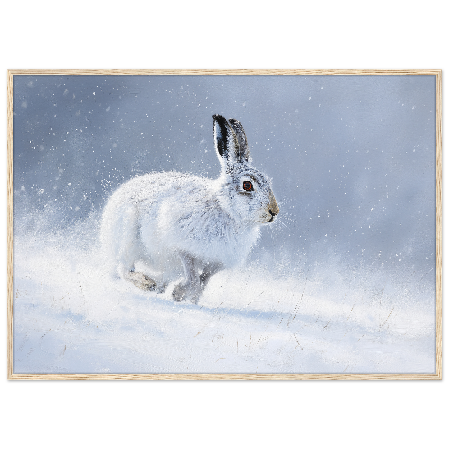 Mountain hare in falling snow winter print in a pale natural wood frame