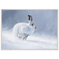 Mountain hare in falling snow winter print in a pale natural wood frame