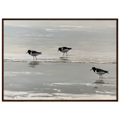Oystercatchers on the tideline coastal print in a dark brown wood frame