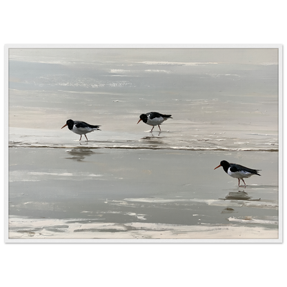 Oystercatchers on the tideline coastal print in a white frame