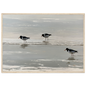 Oystercatchers on the tideline coastal print in a pale natural wood frame