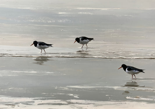 Three oystercatchers walking on wet sand at the tideline, painted in loose oils in soft pewter and silver light