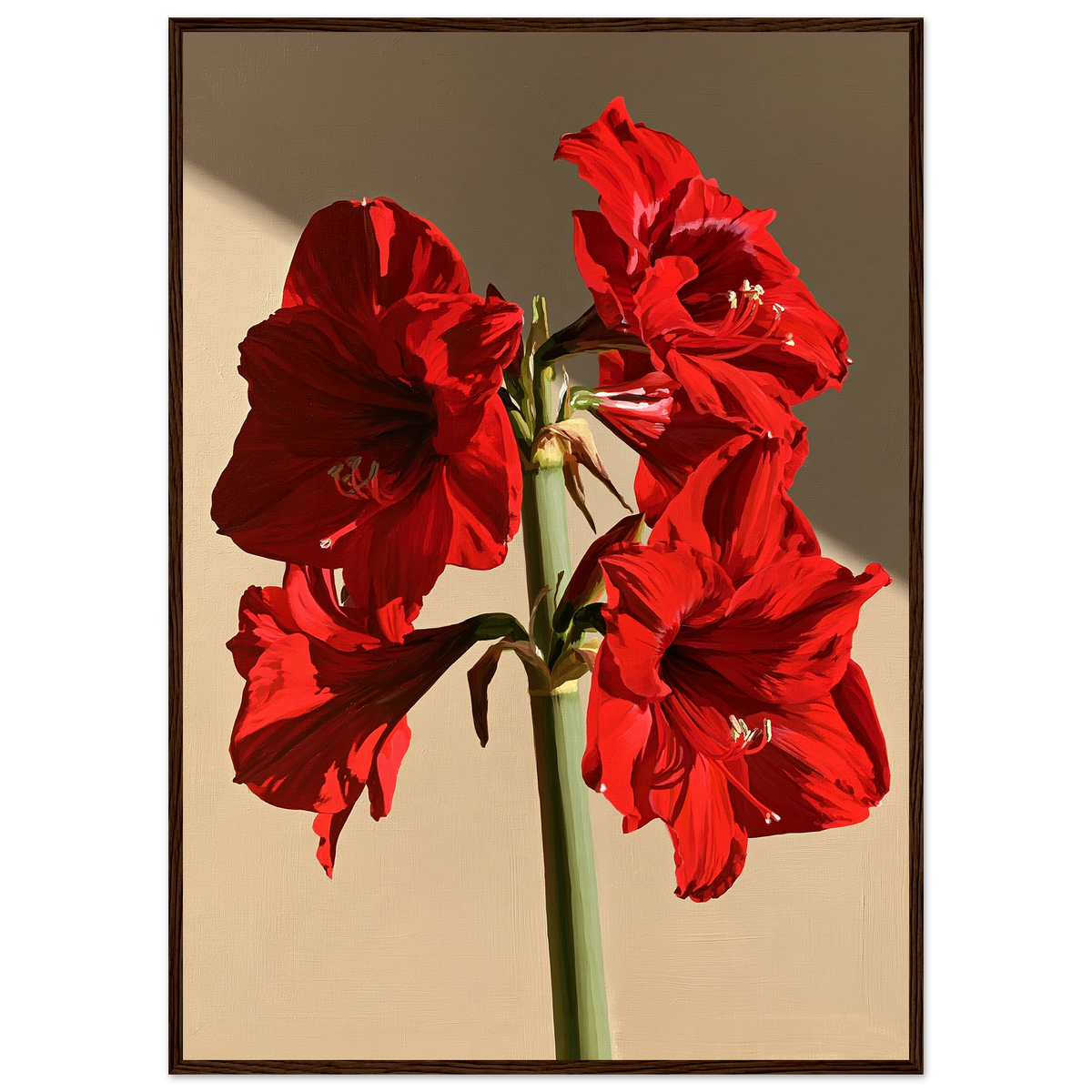 Red amaryllis in full flower on a warm putty ground, print in a dark wood frame