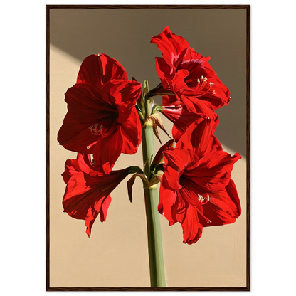 Red amaryllis in full flower on a warm putty ground, print in a dark wood frame