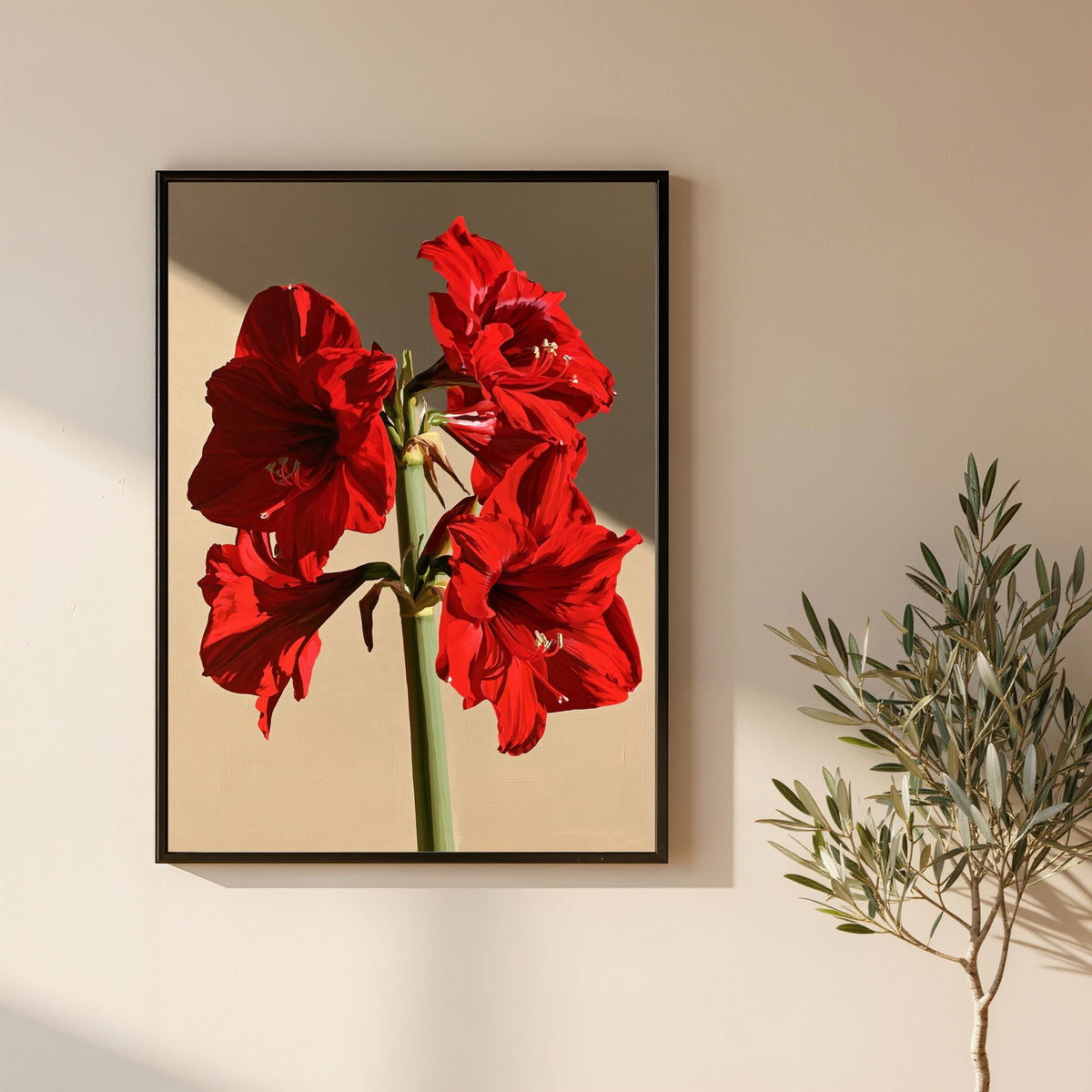 Red amaryllis in full flower, in a black frame on a plain cream wall beside a potted olive tree