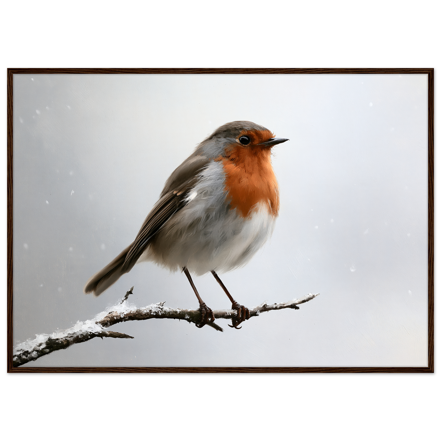 A European robin on a snow-dusted branch, print in a dark wood frame