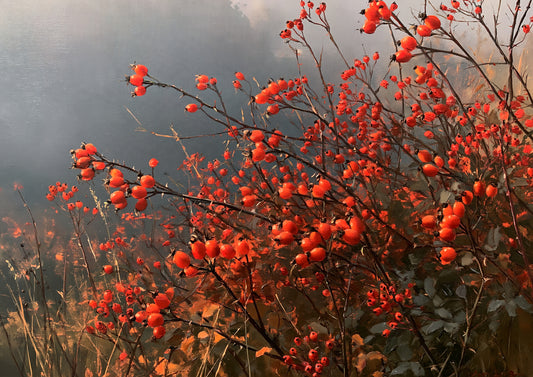 Scarlet rosehips and hawthorn berries on bare thorny stems, painted in oil against a cold October mist