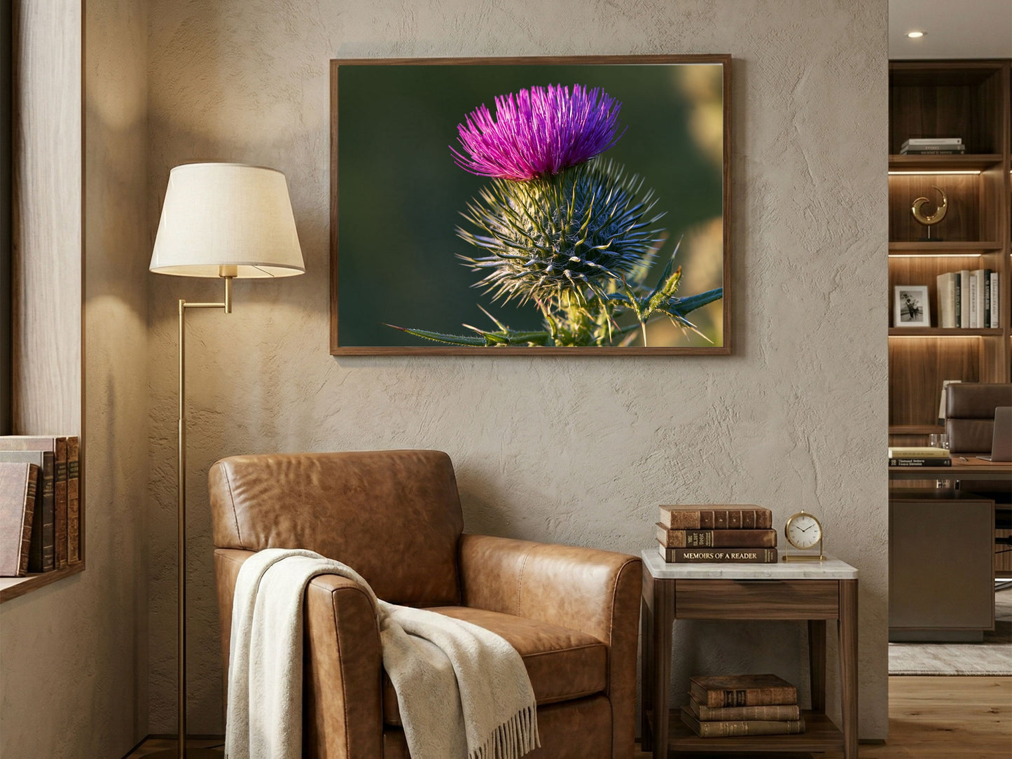 A Scottish thistle in full purple flower, hanging above a leather armchair in a reading corner