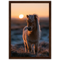 Shetland pony at sunset, print in a dark wood frame