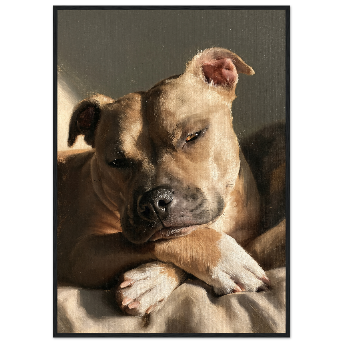 Staffordshire bull terrier at rest, print in a black frame