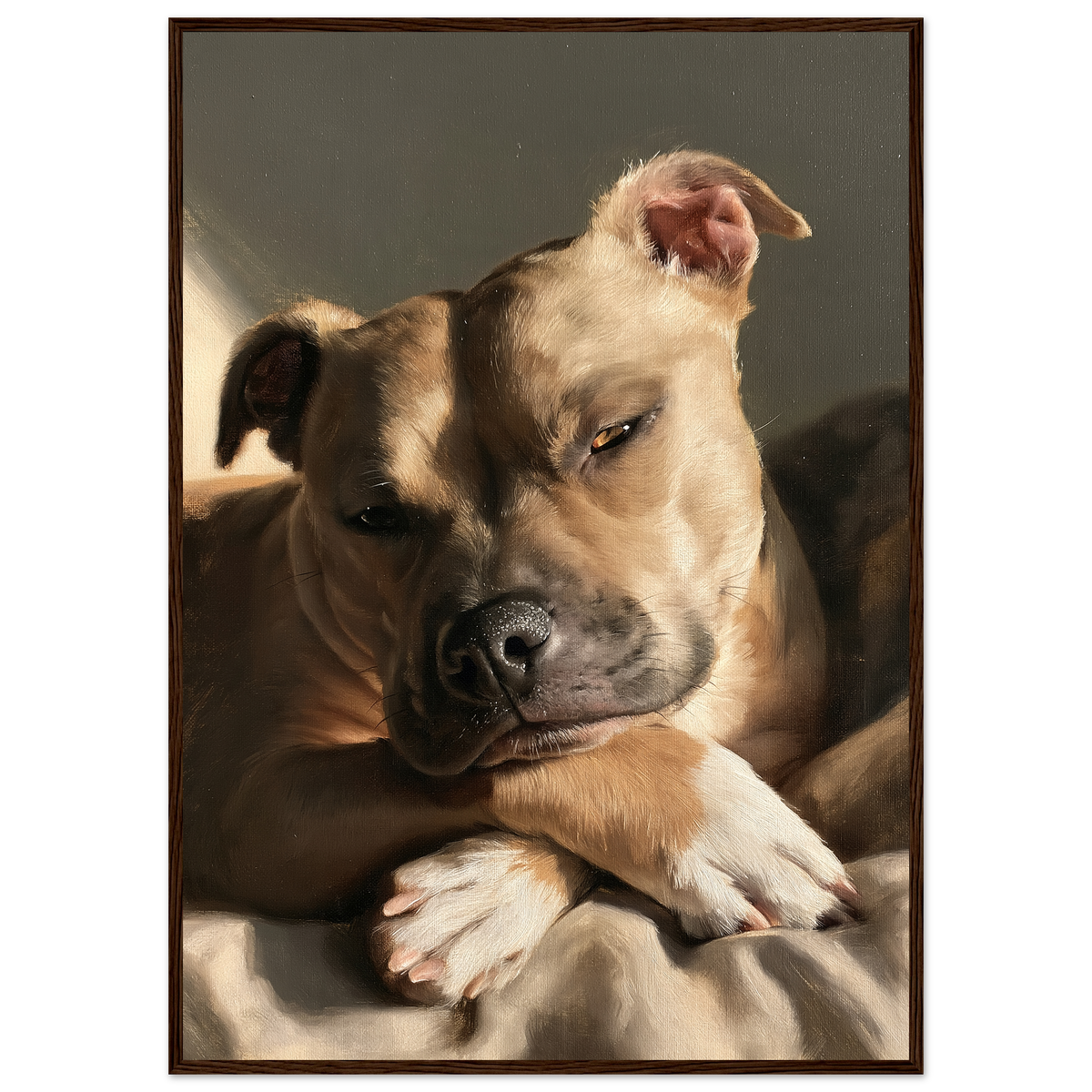 Staffordshire bull terrier at rest, print in a dark wood frame