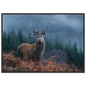 Red deer stag at a misty Highland forest edge, print in a black frame