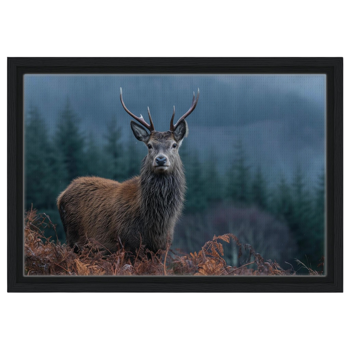 Stag at the forest edge, canvas in a black frame