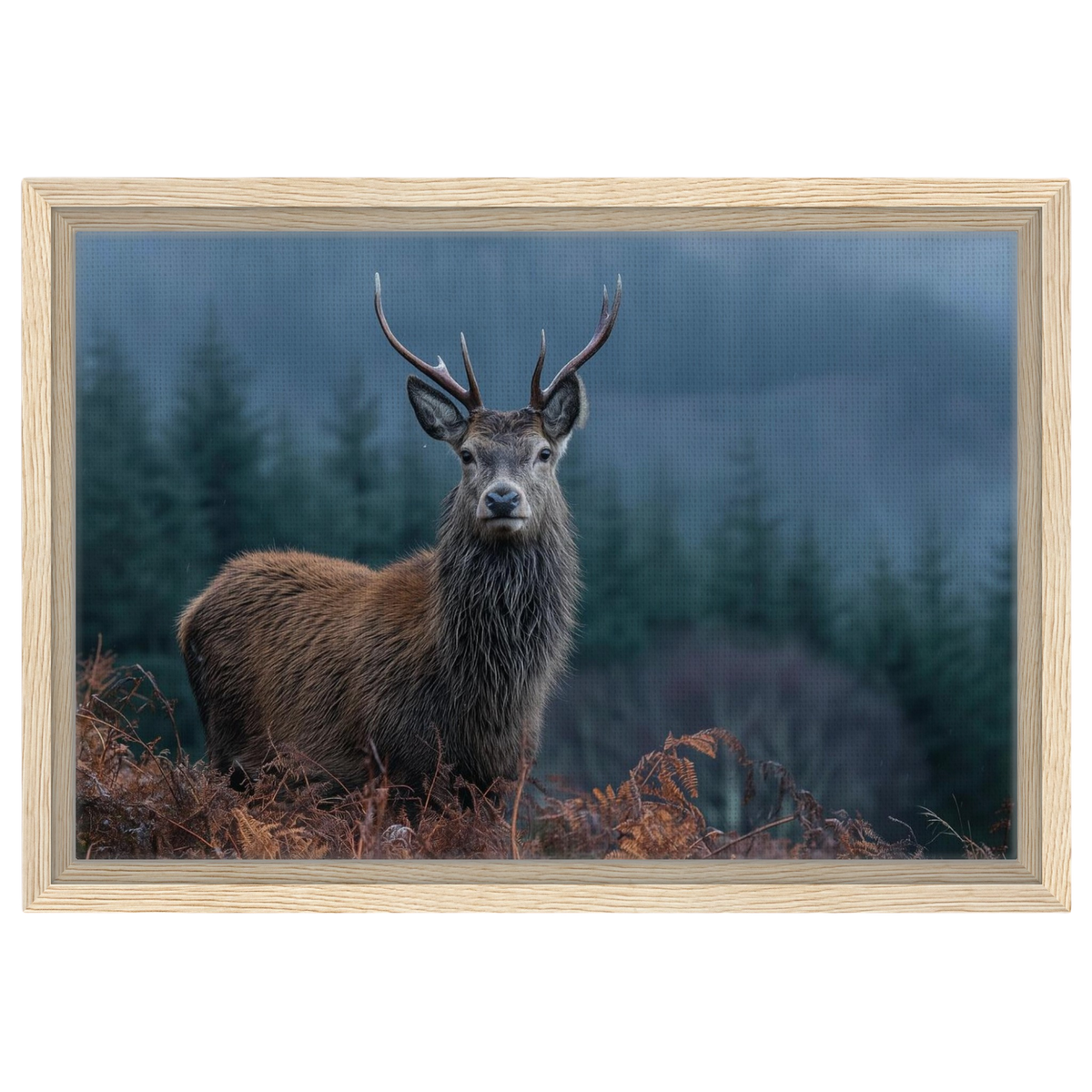 Stag at the forest edge, canvas in a natural wood frame