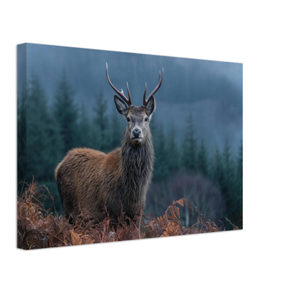 Stag at the forest edge, canvas seen from an angle with the image continuing around the wrapped edge