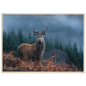 Red deer stag at a misty Highland forest edge, print in a natural light wood frame