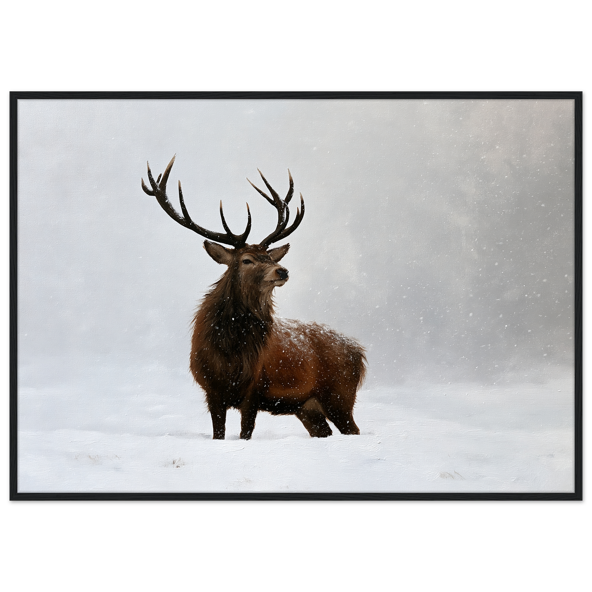 A red deer stag standing in heavy falling snow, print in a black frame