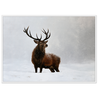 A red deer stag standing in heavy falling snow, print in a white frame