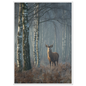 Red deer stag in a misty birch wood, print in a white frame