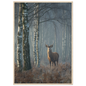 Red deer stag in a misty birch wood, print in a natural light wood frame