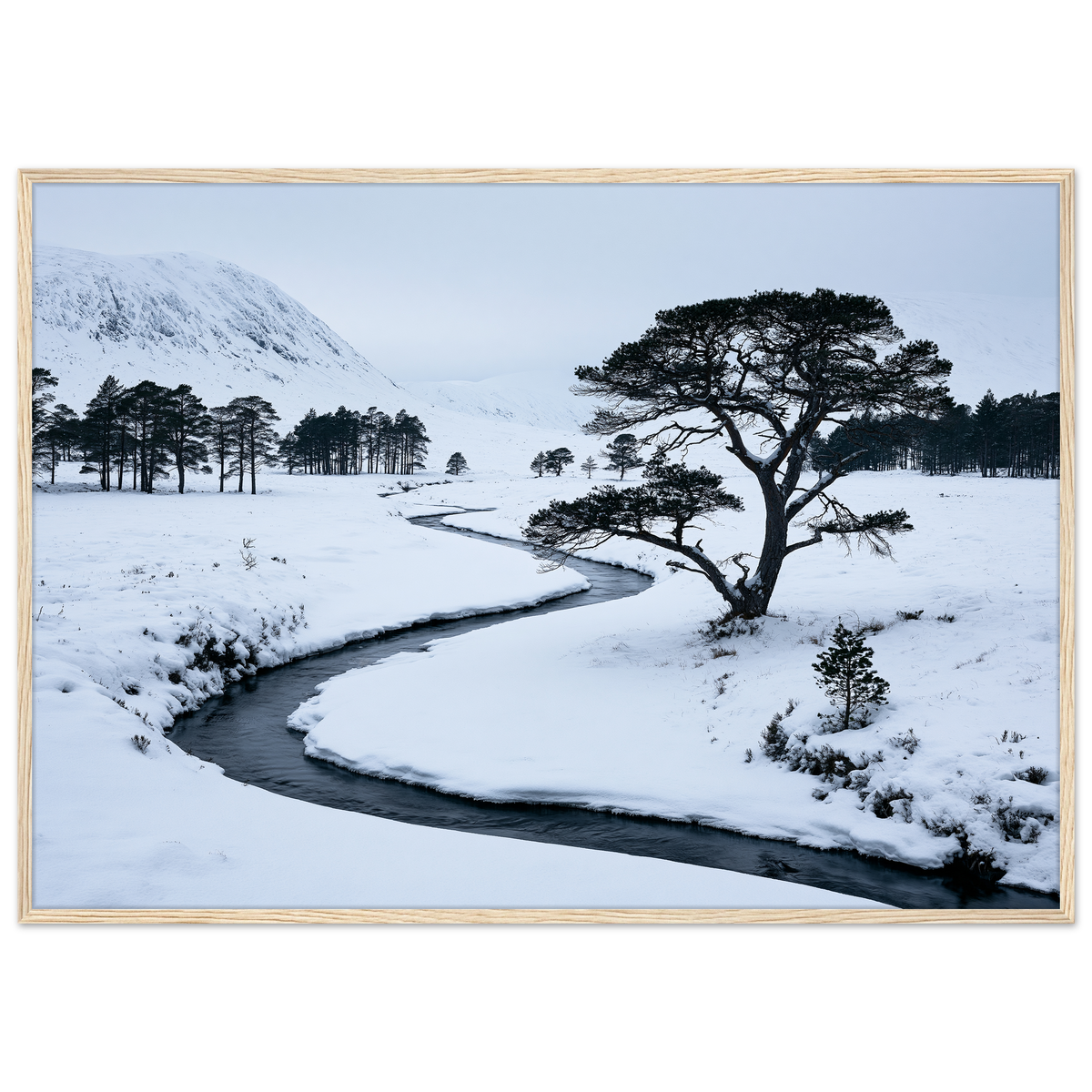 A snow-filled Highland glen with a frozen burn, print in a natural wood frame