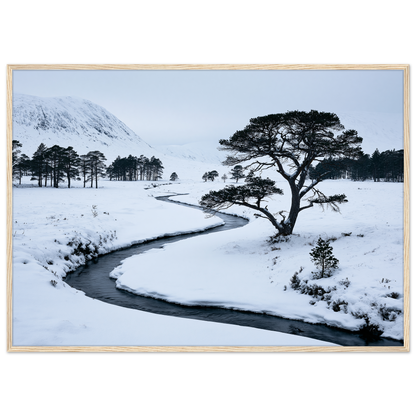 A snow-filled Highland glen with a frozen burn, print in a natural wood frame
