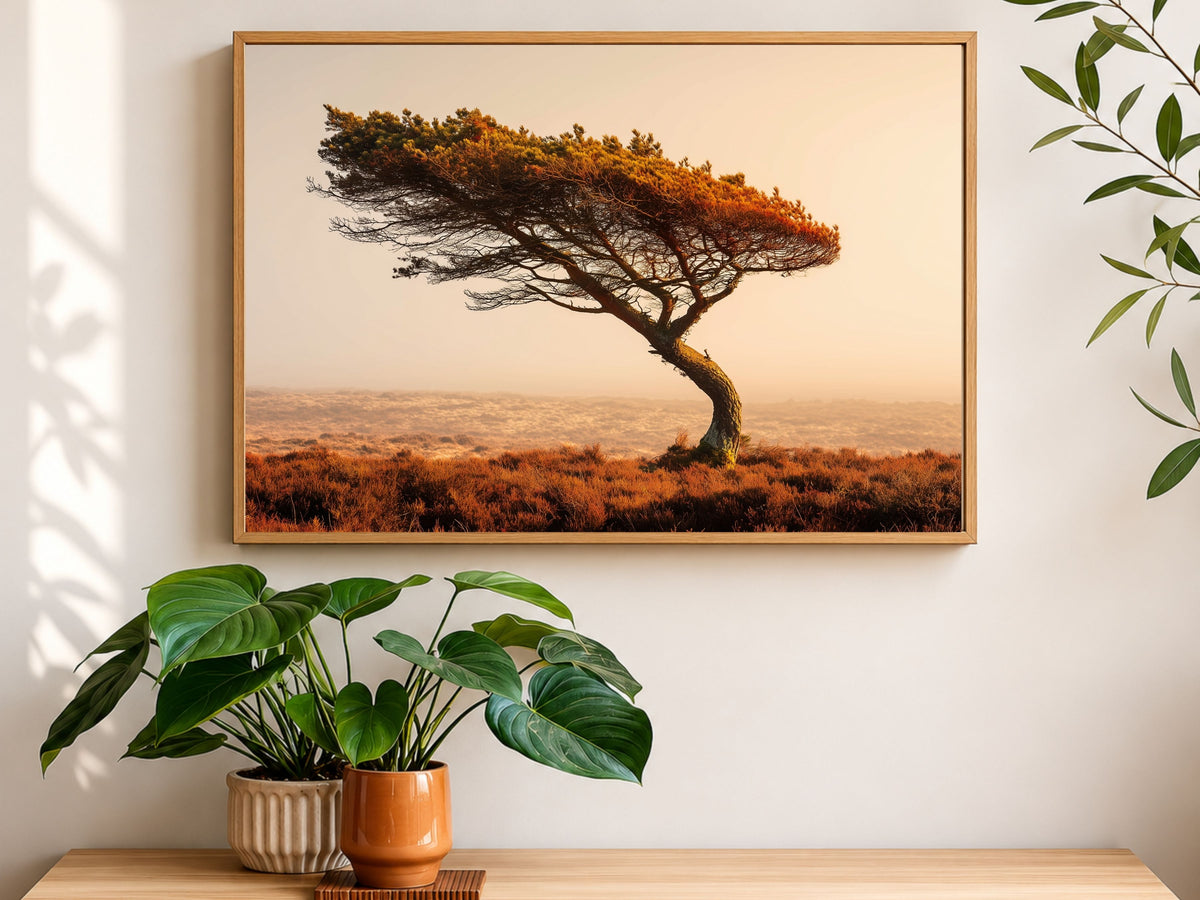 Wind-bent lone pine on golden moorland, framed in light wood above a bench of potted plants