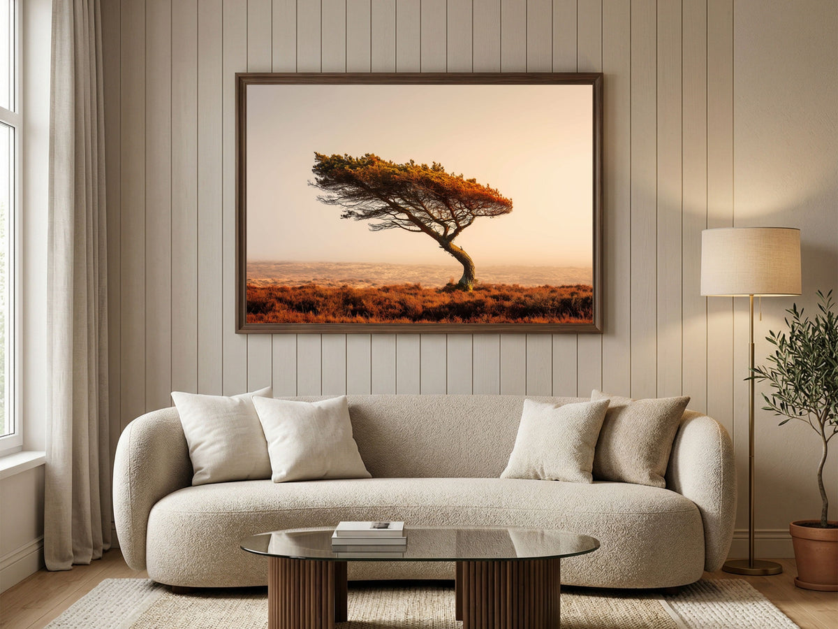 Wind-bent lone pine on golden moorland, in a dark frame above a boucle sofa