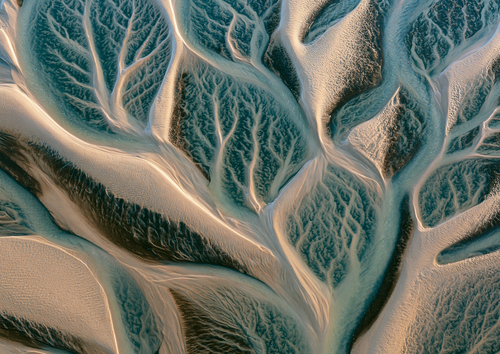 Branching tidal channels cut through wet sand seen from directly above, deep teal water against pale warm sand