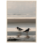 Two oystercatchers at low water coastal print in a pale natural wood frame