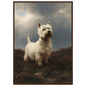 Westie on wet heather, print in a dark wood frame