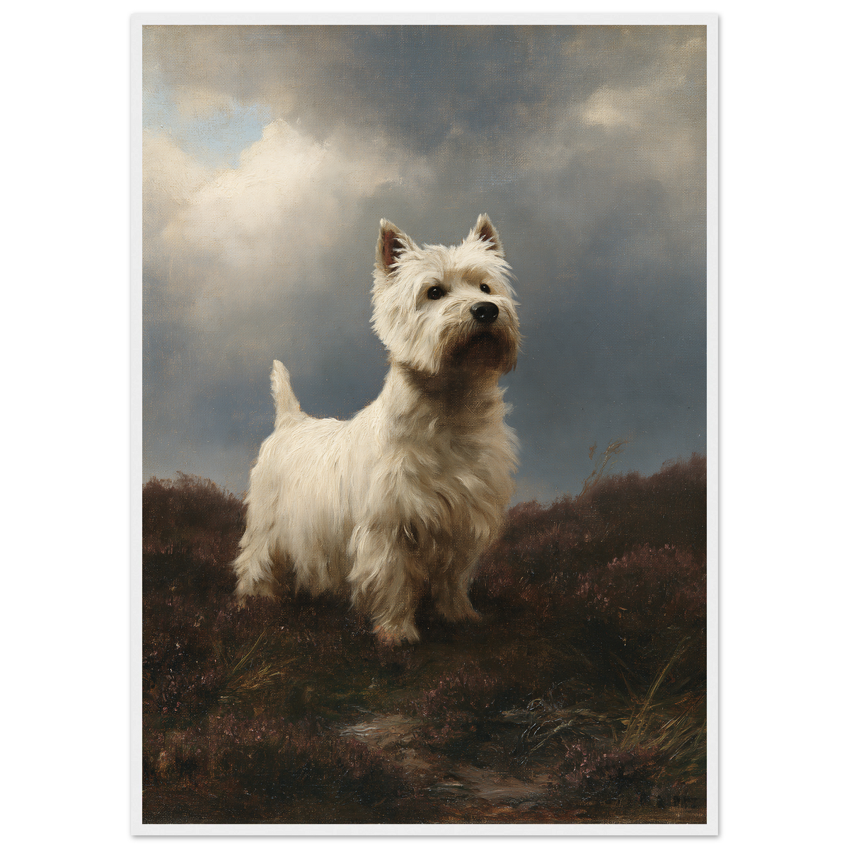 Westie on wet heather, print in a white frame