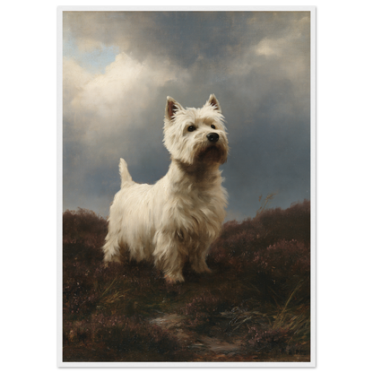 Westie on wet heather, print in a white frame
