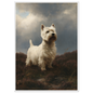 Westie on wet heather, print in a white frame