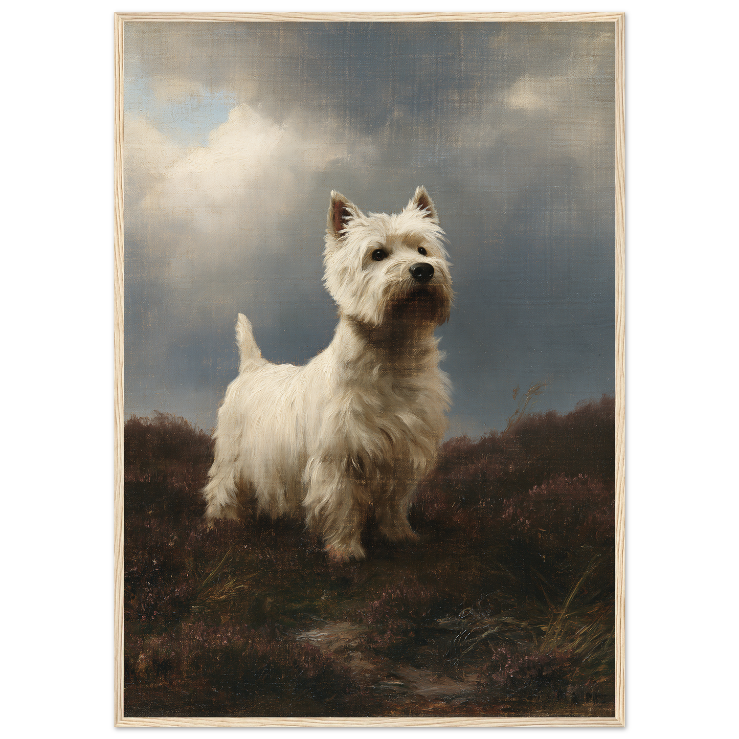 Westie on wet heather, print in a natural wood frame