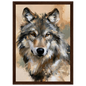 Wolf in ochre, print in a dark wood frame