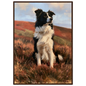 Working collie on a heather moor print in a dark brown wood frame