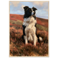 Working collie on a heather moor print in a pale natural wood frame